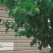 Сайдинг Ю-Пласт TIMBERBLOCK Пихта (Тимберблок) Cахалинская купить в Архангельске