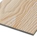 Фиброцементные панели FCSPRO Decor Wood Лиственница купить в Архангельске