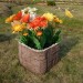 Цветник КАНЬОН купить в Архангельске