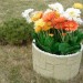 Цветник КАНЬОН купить в Архангельске