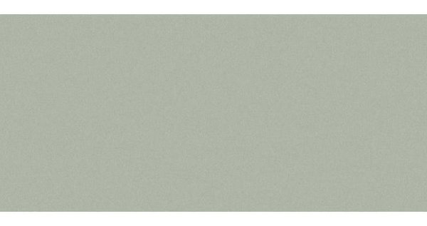 Сайдинг CEDRAL smooth (гладкий) С06 купить в Архангельске